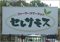 セレサモス
